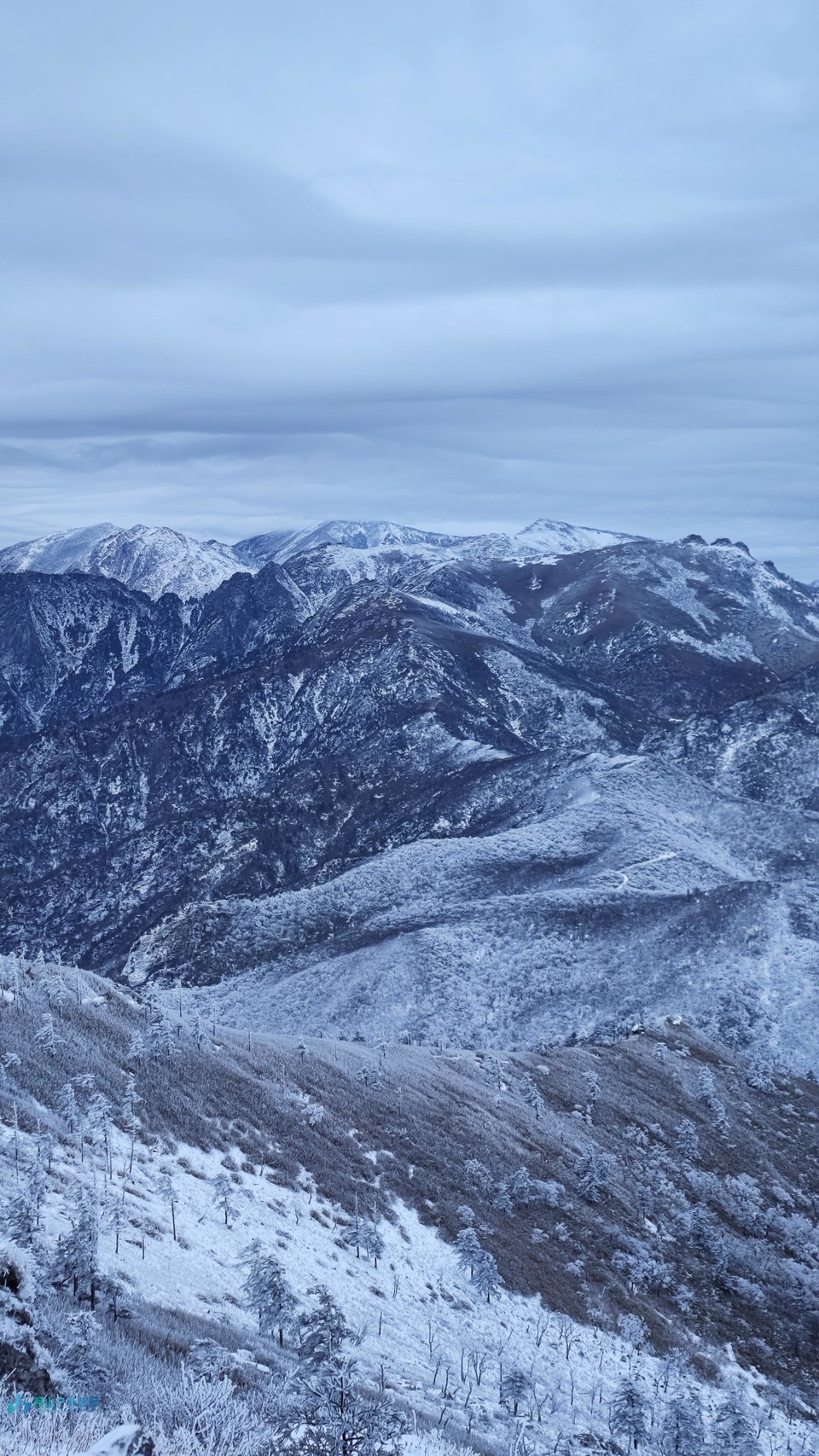 mmexport1731855157548