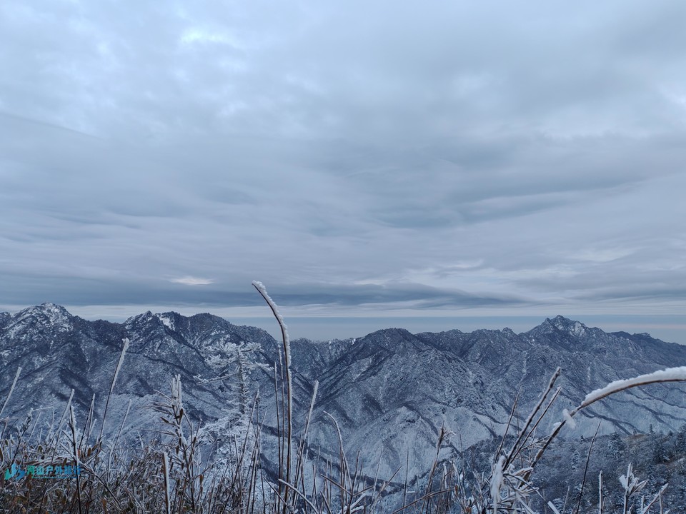 mmexport1731855177744