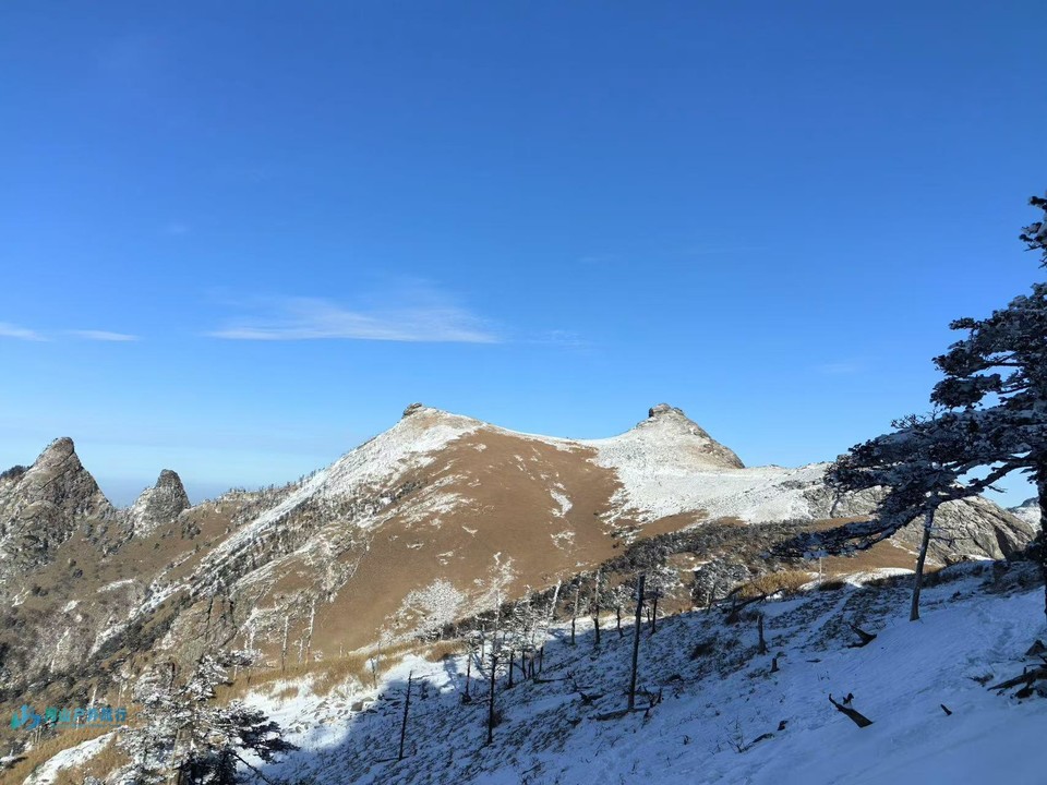 微信图片_20241214181015