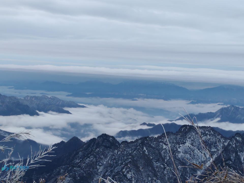 mmexport1731855201493