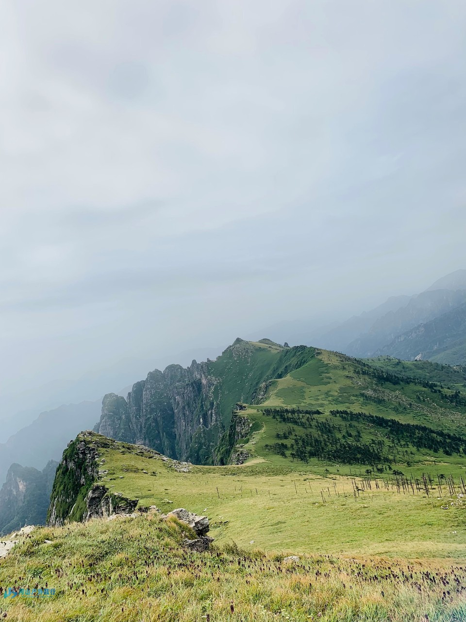 mmexport1709830489466