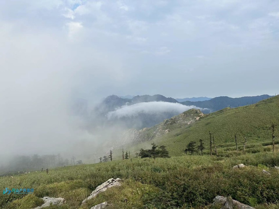 mmexport1725440671480