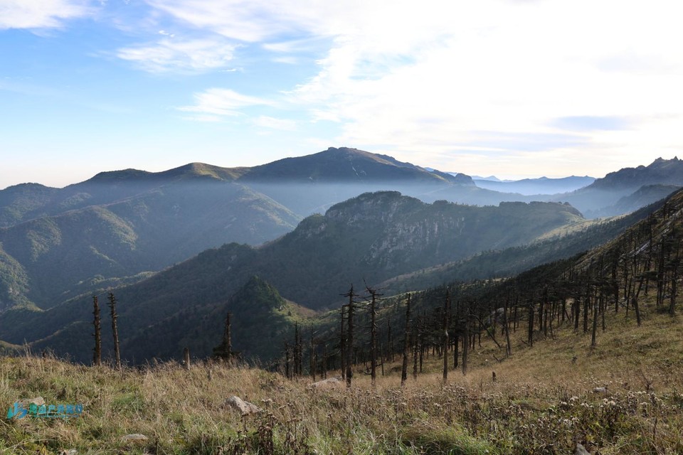 mmexport1727856812129