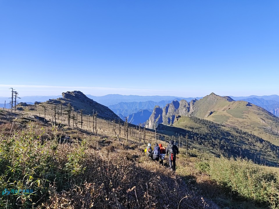 mmexport1728397993472