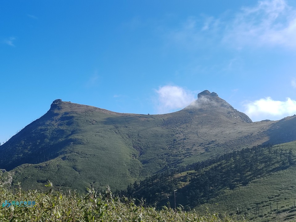 mmexport1728398539125