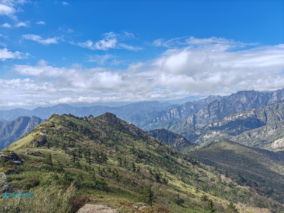 mmexport1728398546408