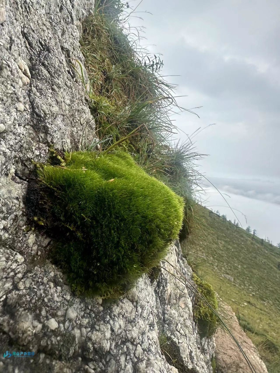 mmexport1725440680127