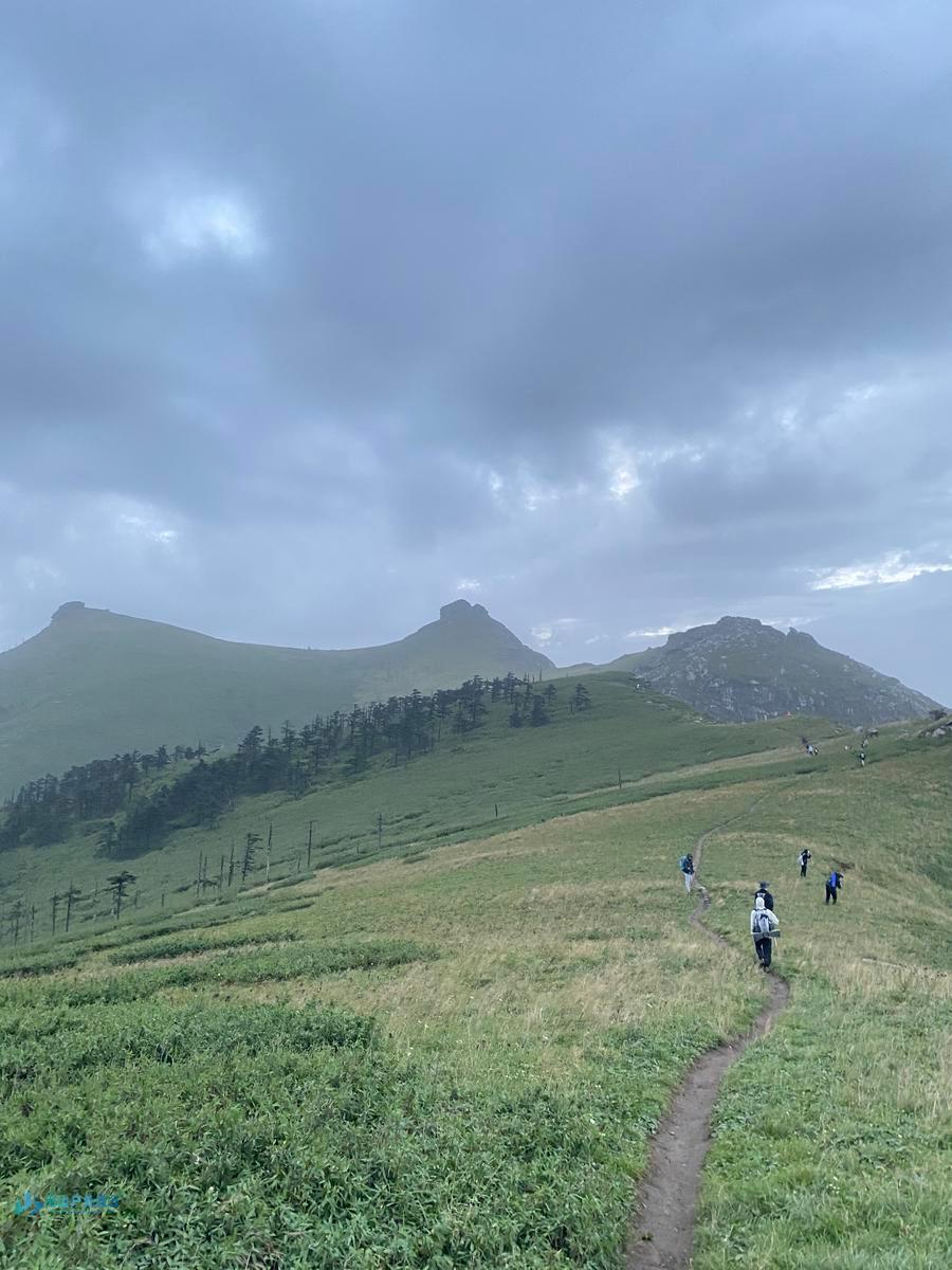 mmexport1723566529967