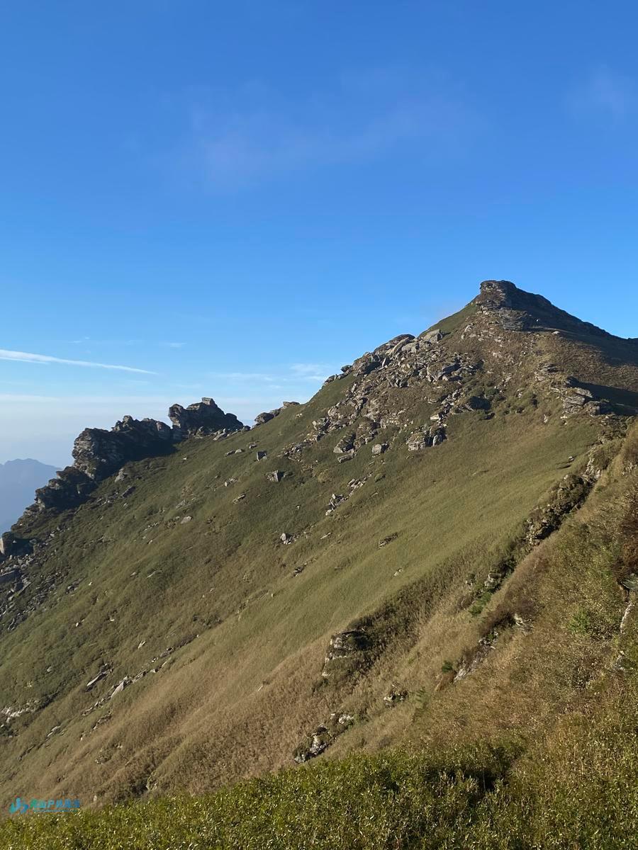 mmexport1728398411312