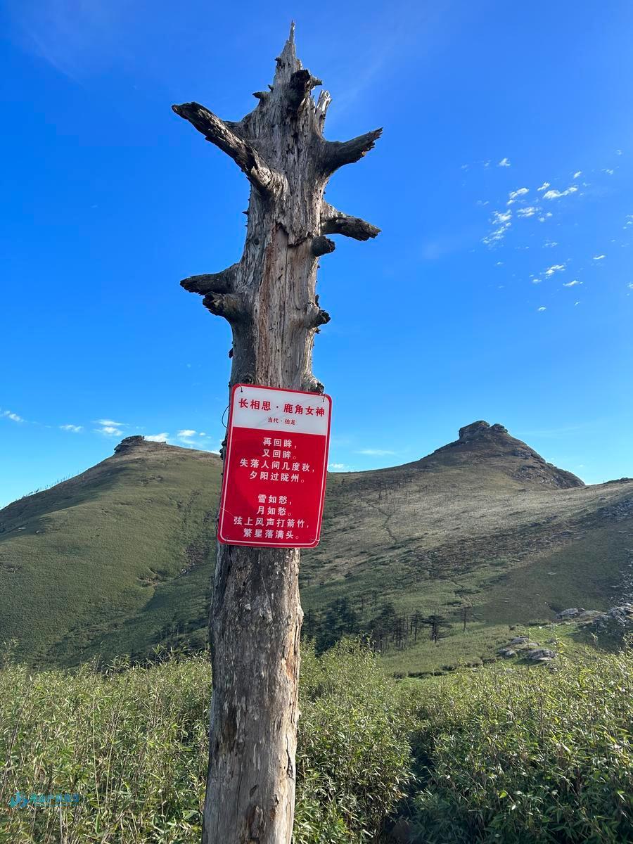 mmexport1727856335185