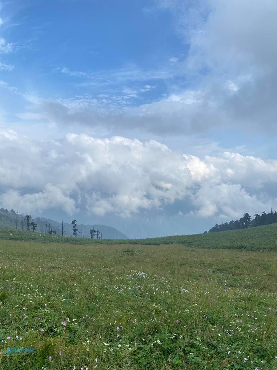 mmexport1722919726011