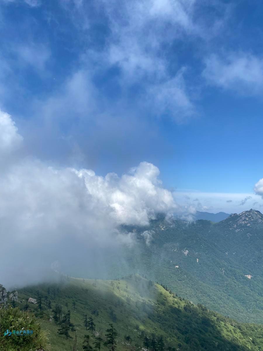 mmexport1722873968978