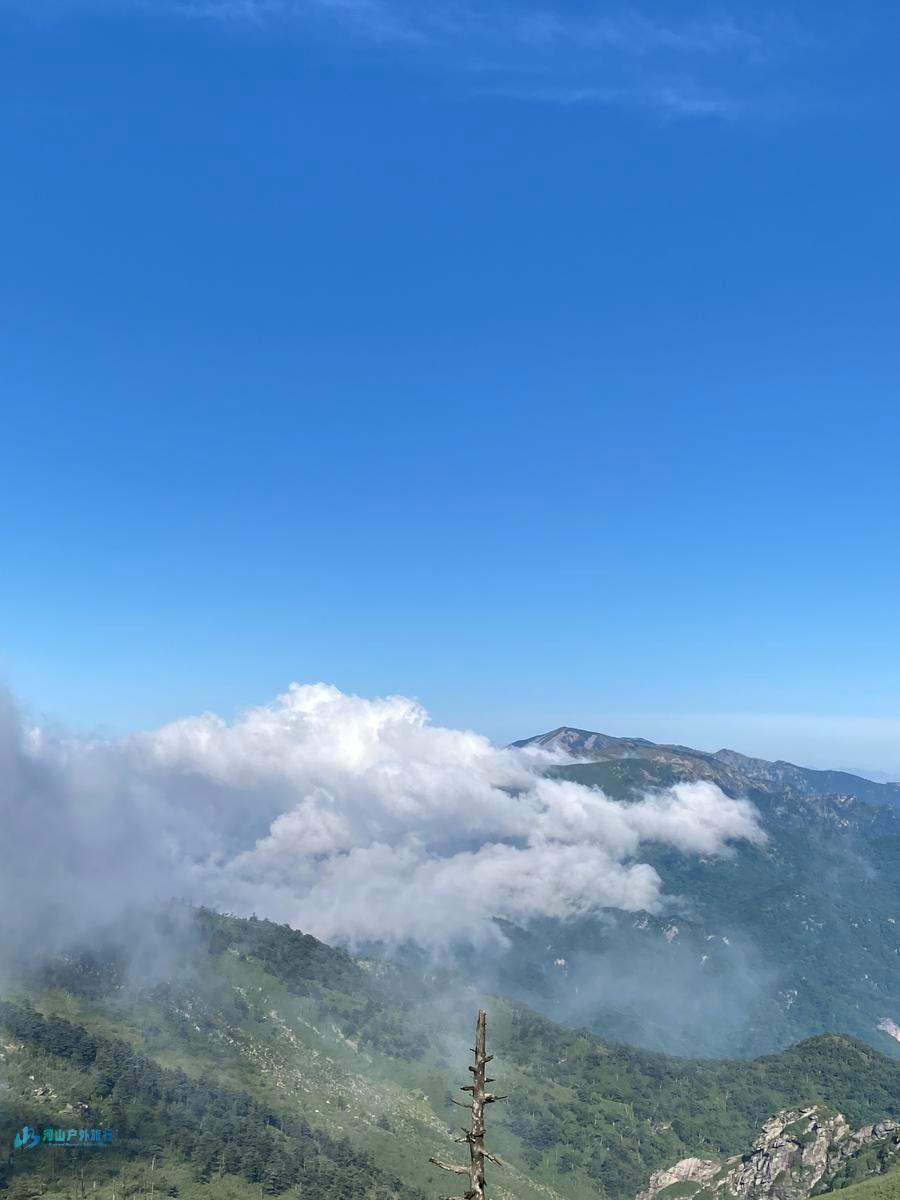 mmexport1722874064415