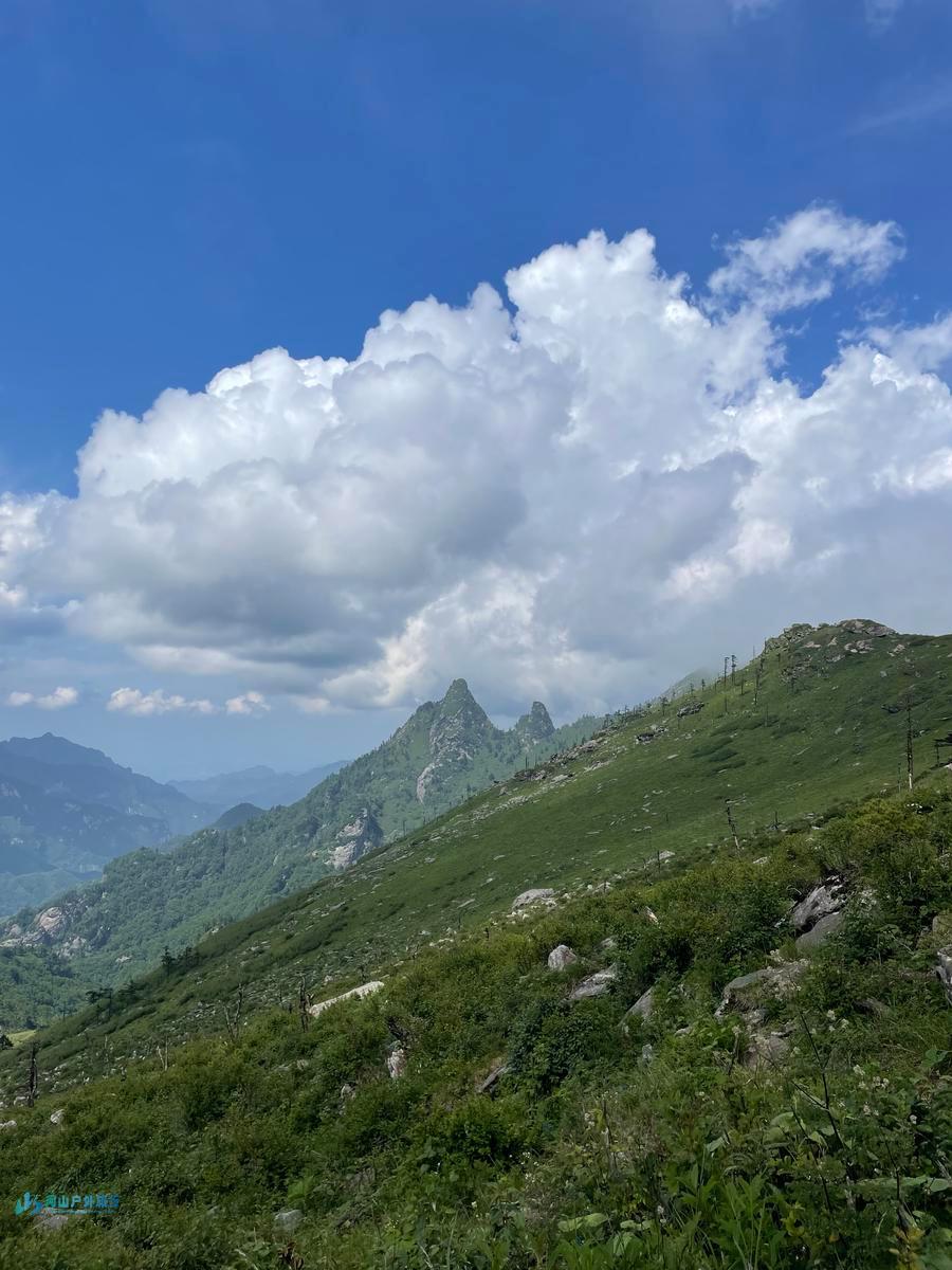 微信图片_20240618221513