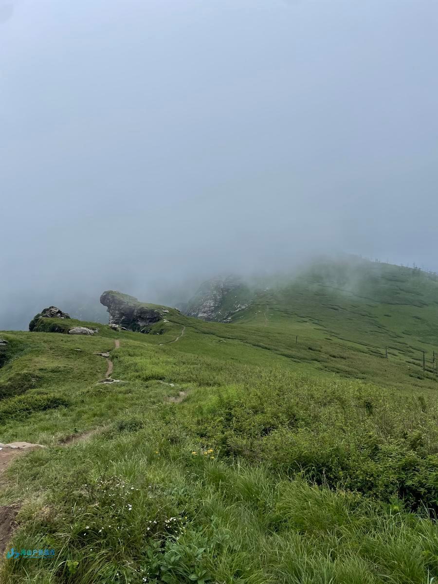 微信图片_20240618221516