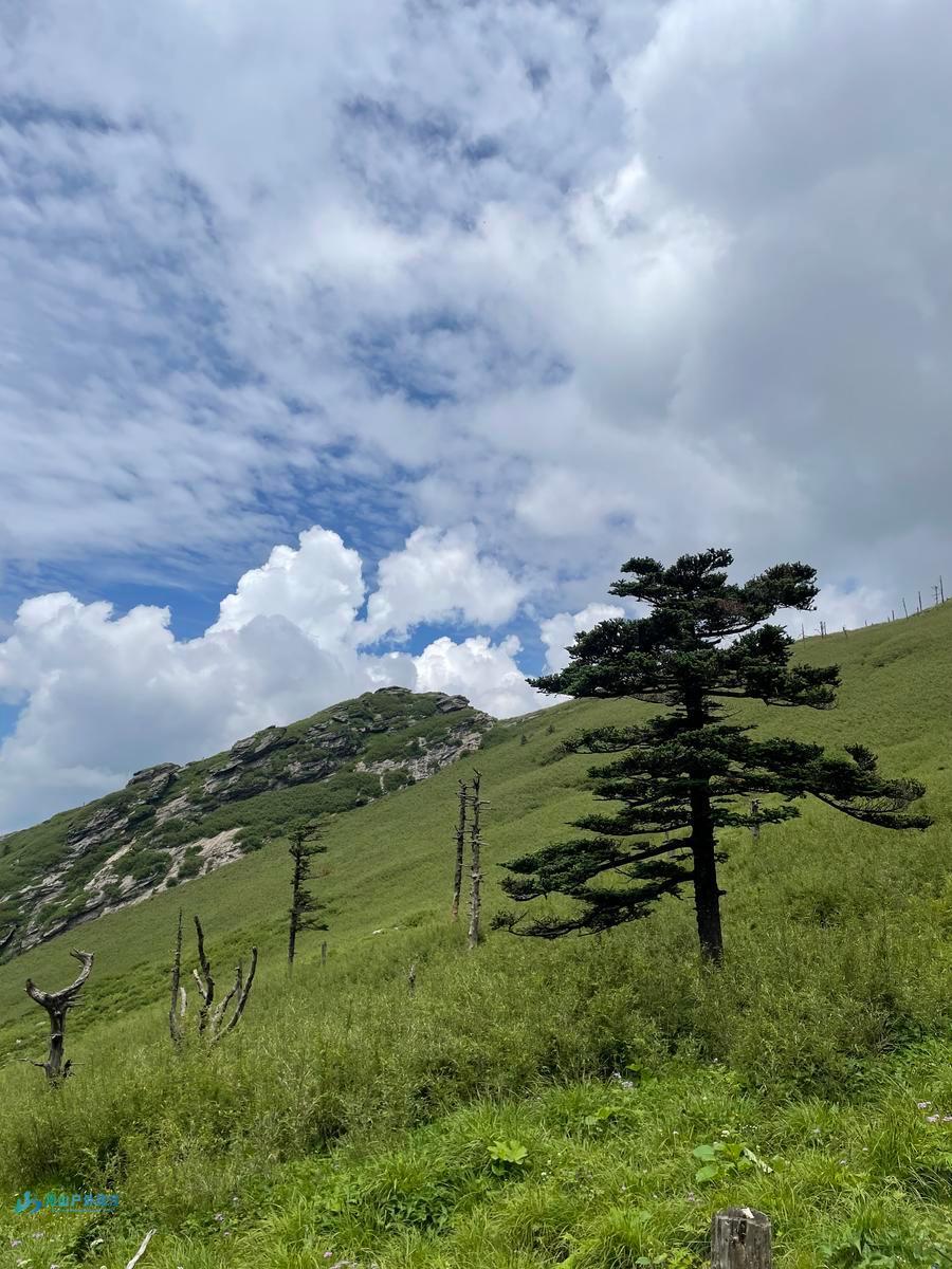 微信图片_20240618221533