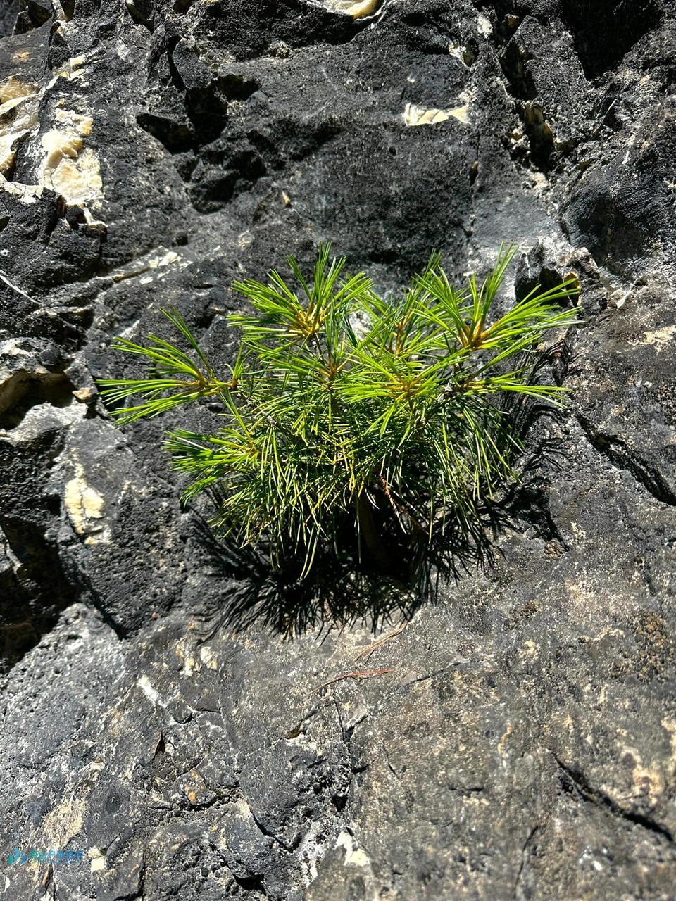 微信图片_20240324170645