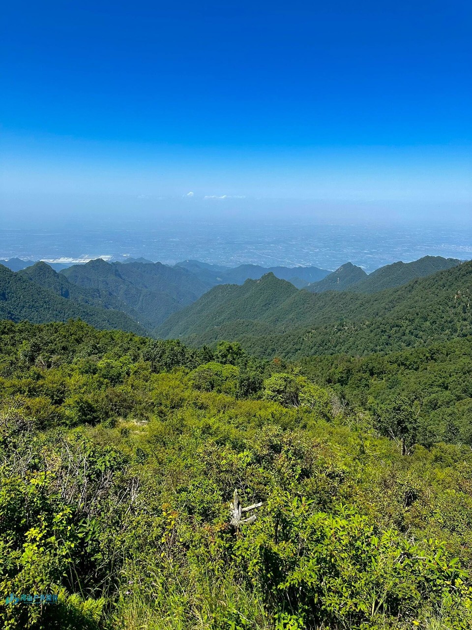 微信图片_20240324170707