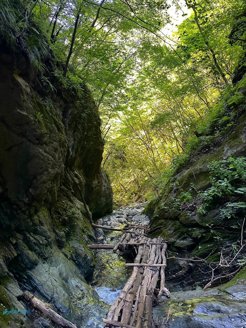 微信图片_20240324170716