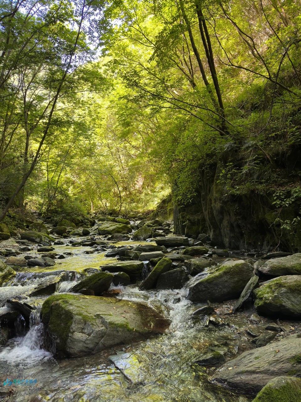 微信图片_20240324170720