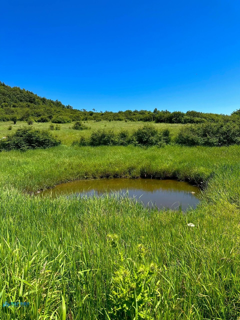 微信图片_20240324170724