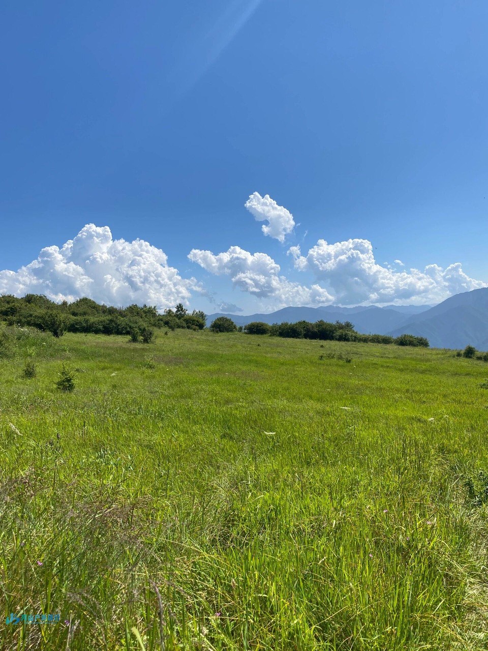 微信图片_20240324170727