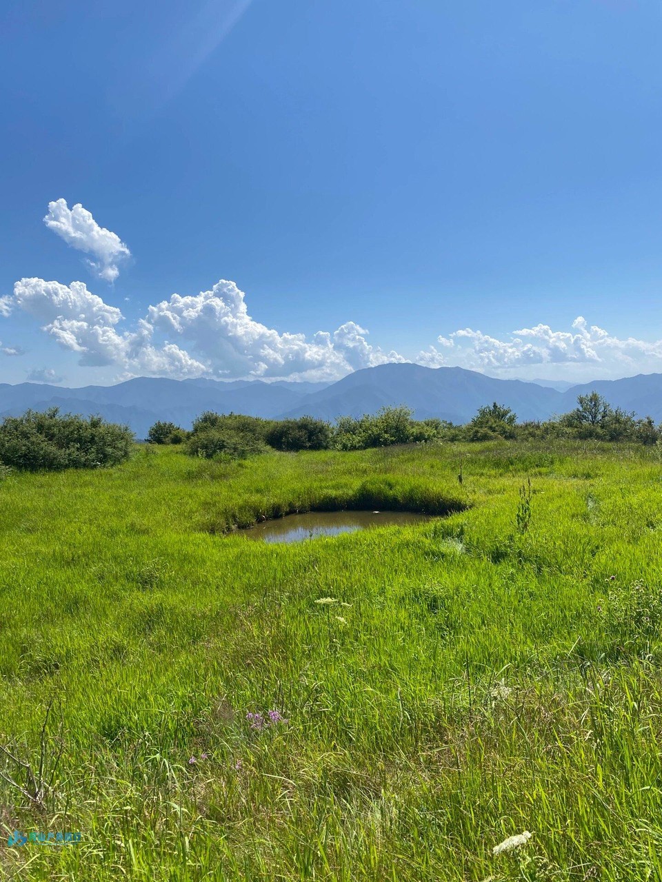 微信图片_20240324170821