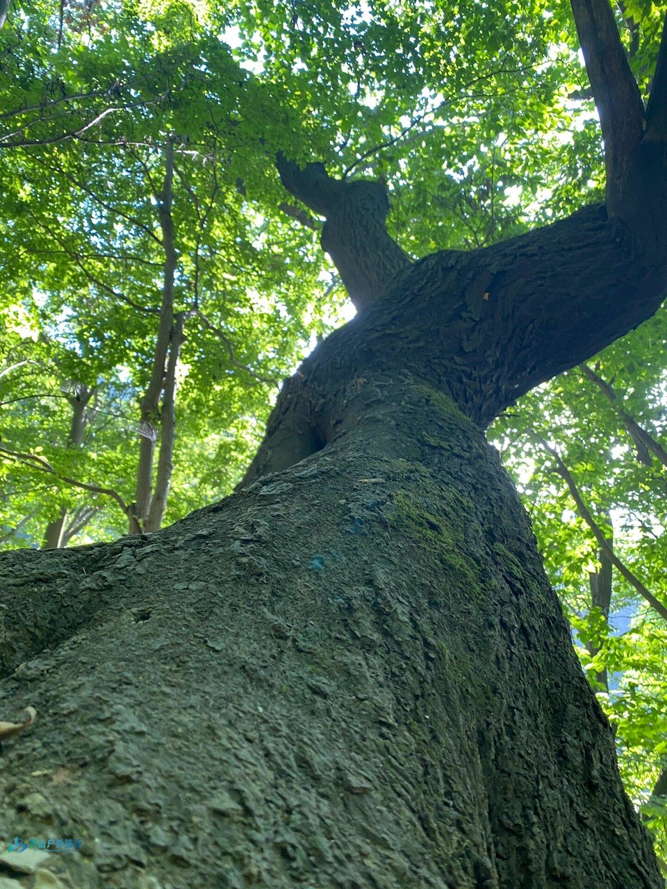 微信图片_20240324170825