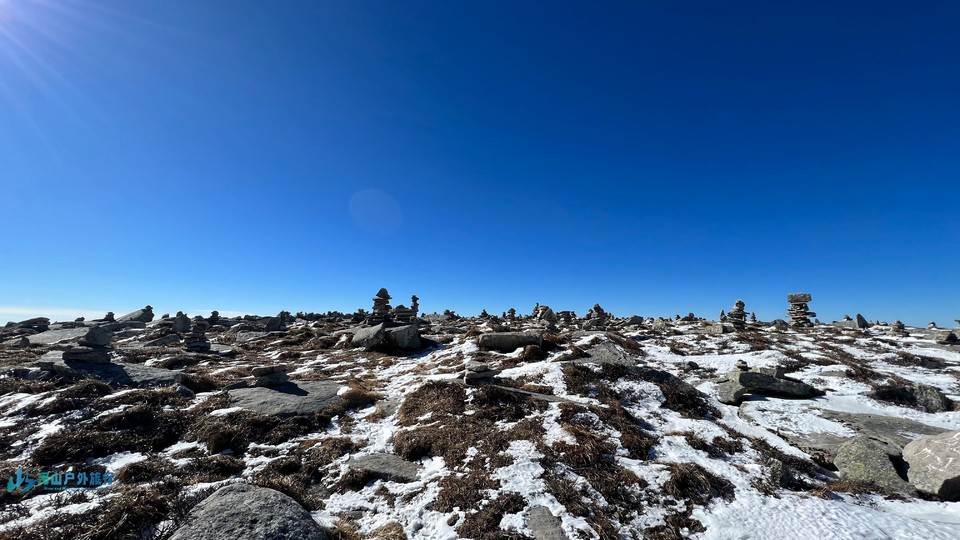 微信图片_20240621181252