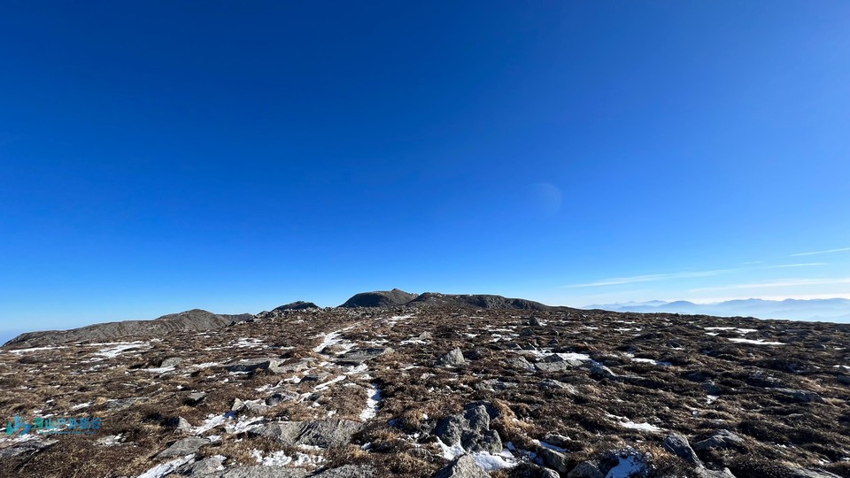 微信图片_20240621194303