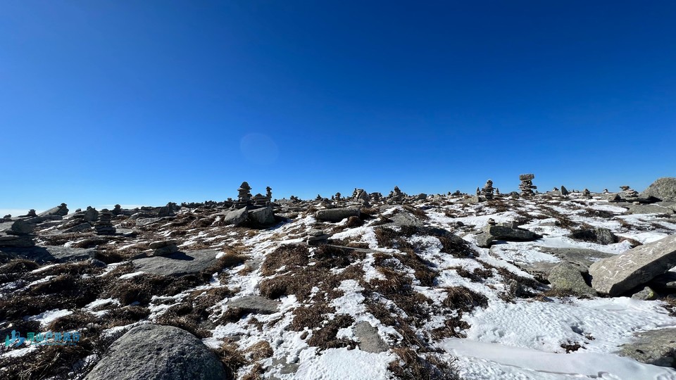 微信图片_20240621194310