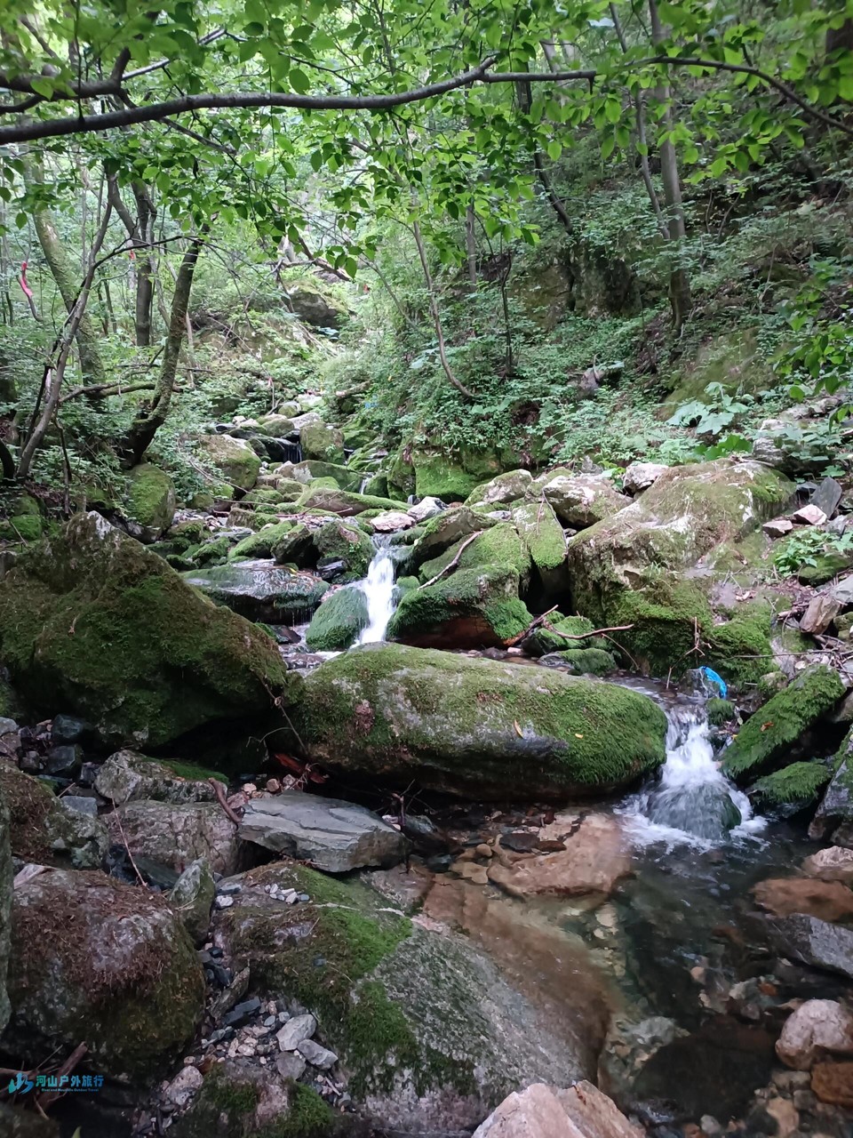 mmexport1711265529913