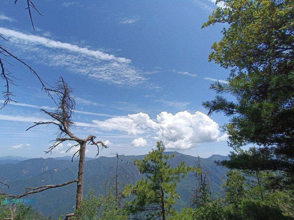 mmexport1711265543967