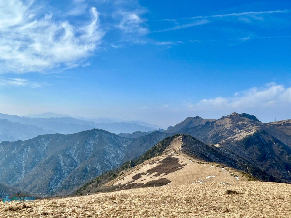 mmexport1704690099426