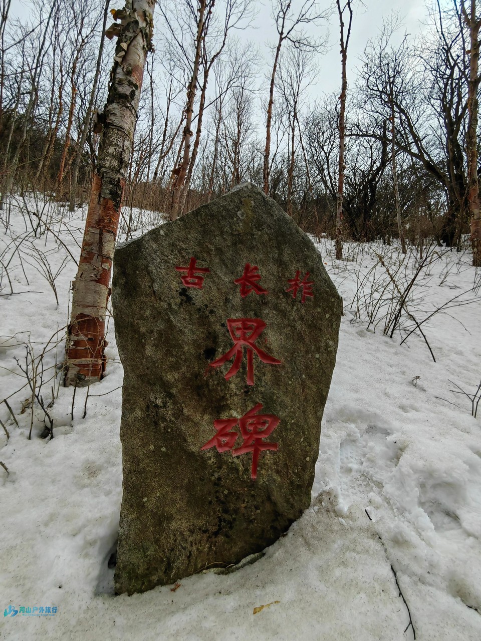 mmexport1709980283854