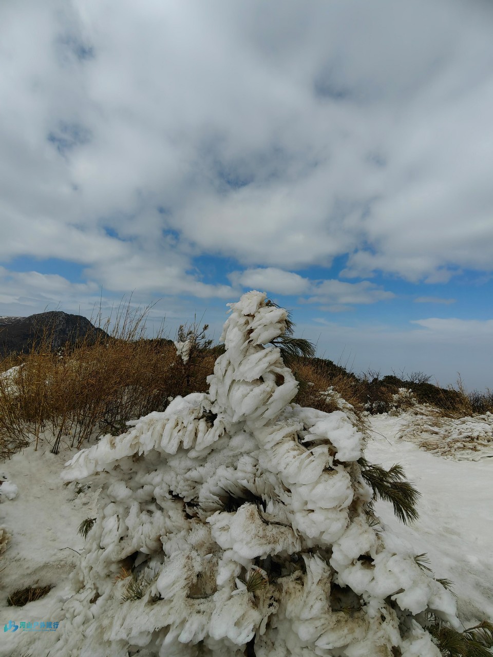 mmexport1709980313373