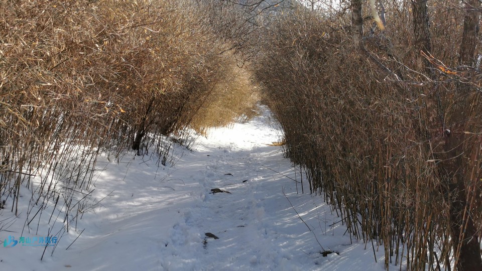 picture_2024_01_28_16_42_24_532