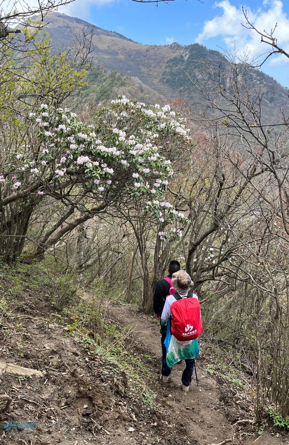 mmexport1714361363576