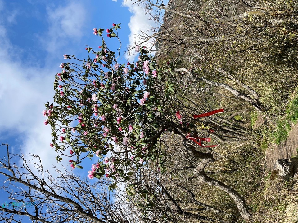 mmexport1714361389181