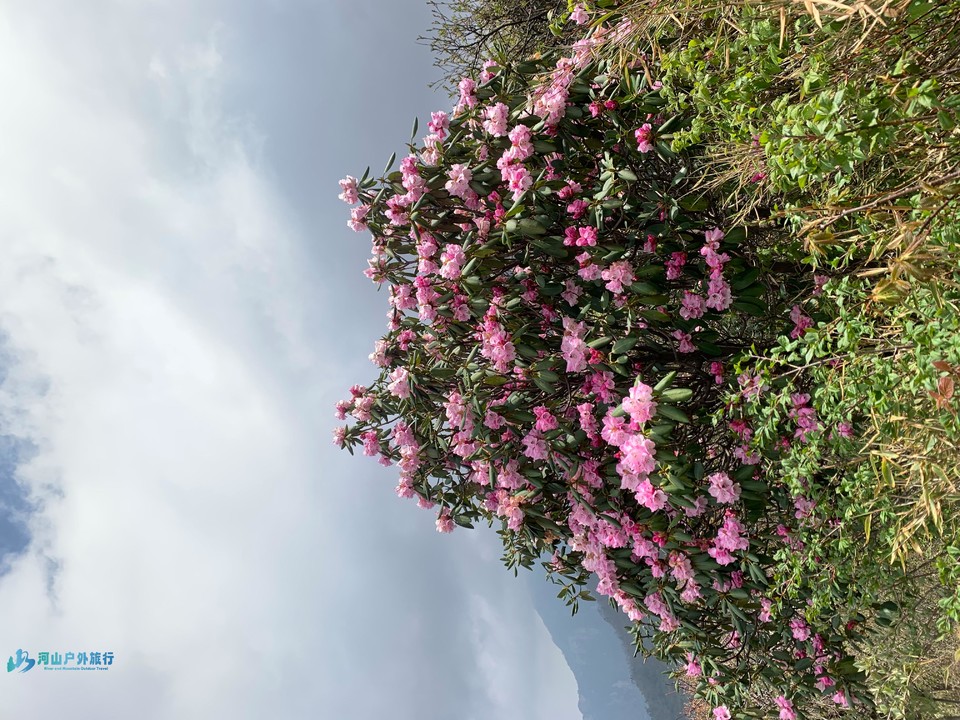 mmexport1714908867432