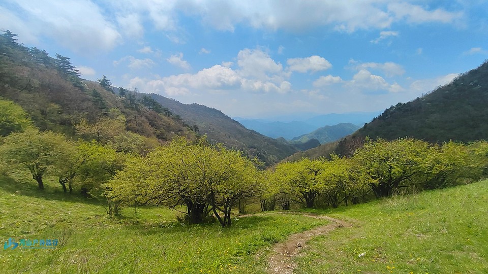 mmexport1714925778447