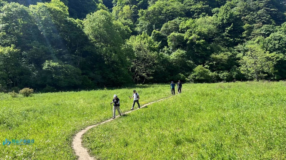 mmexport1717432566313