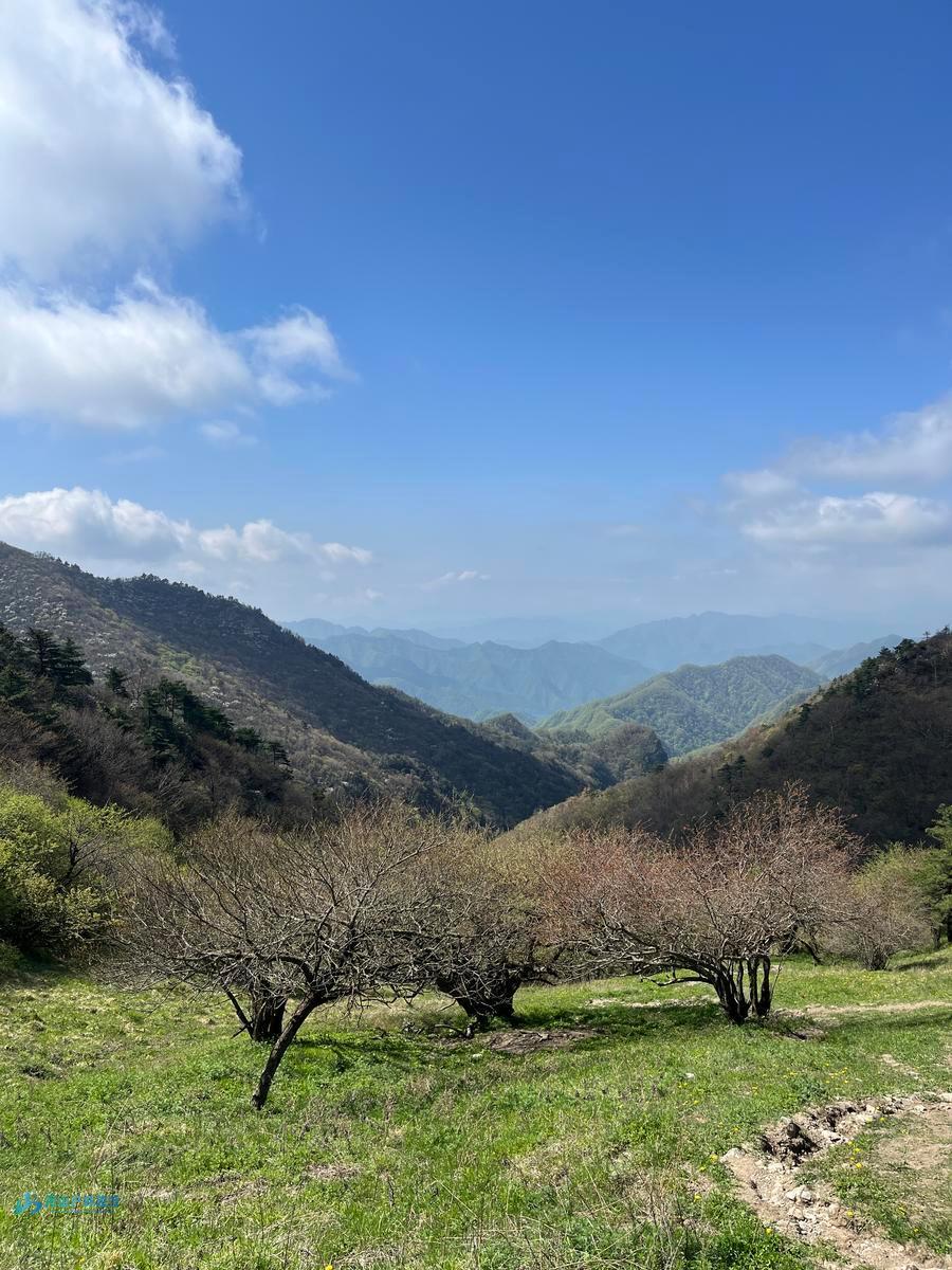 mmexport1714361475730