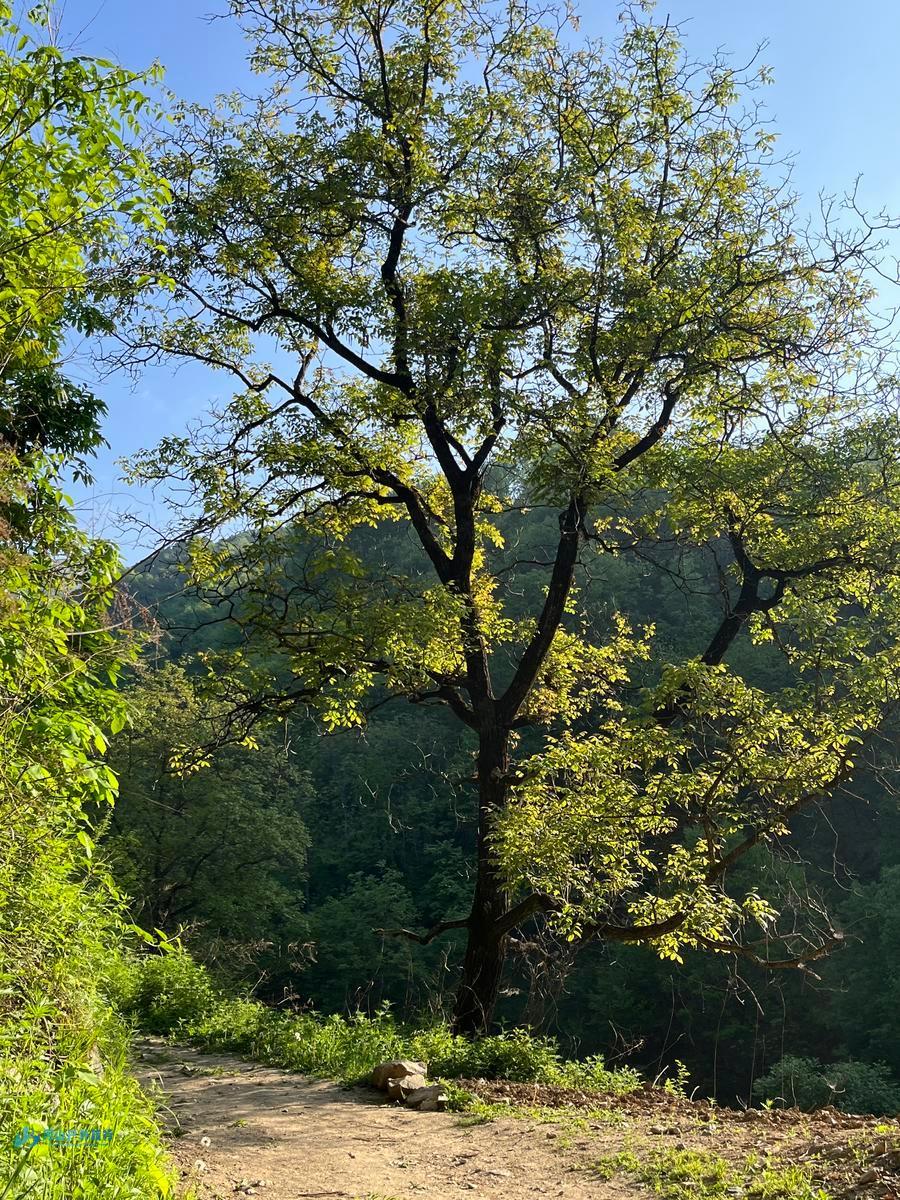 mmexport1714361513723