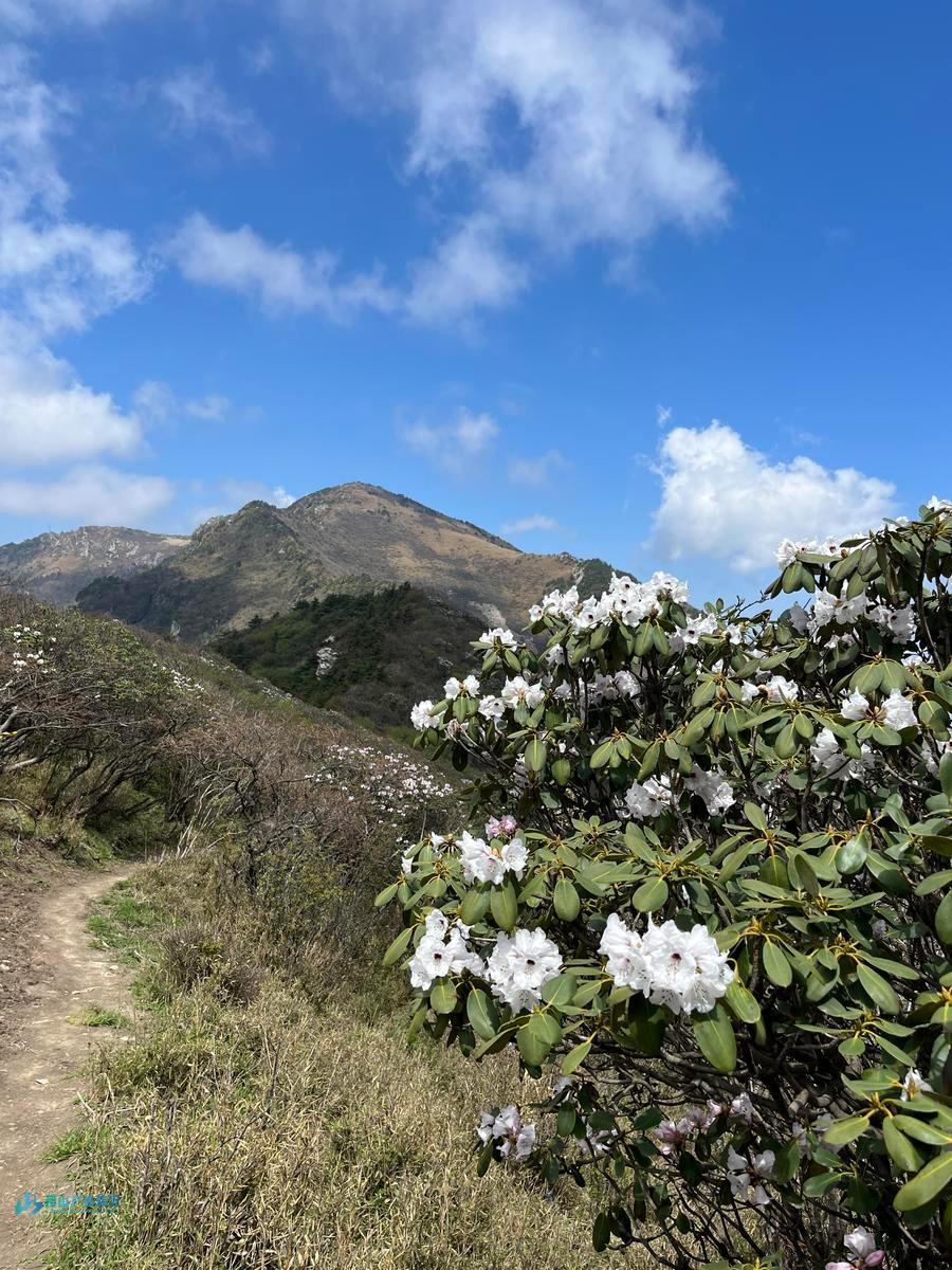 mmexport1714361403092