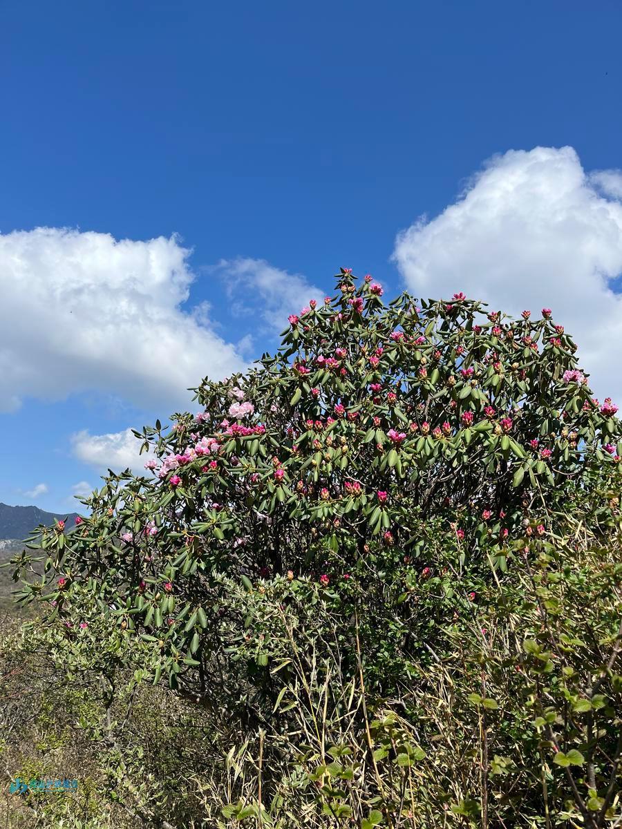 mmexport1714361279402