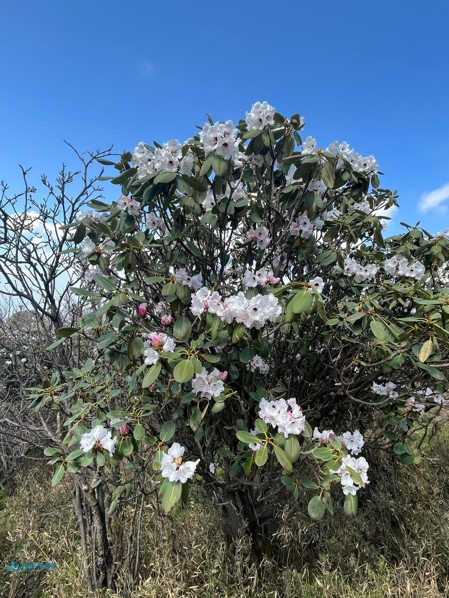 mmexport1714361267760