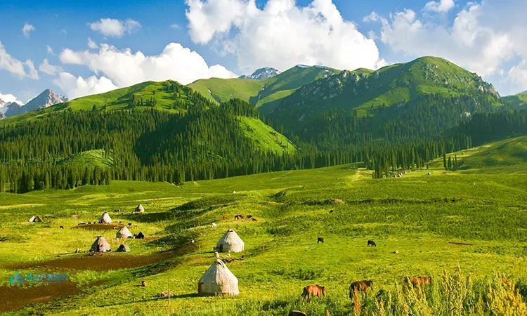 那拉提空中草原