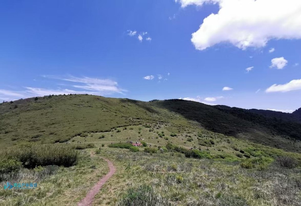 微信图片_20250224180459