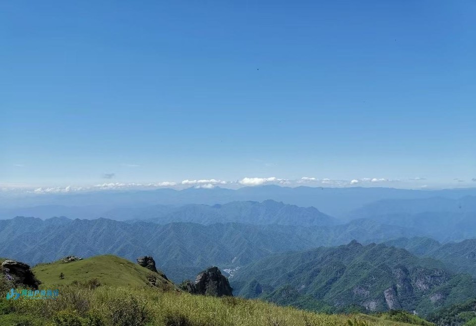 微信图片_20250224180502